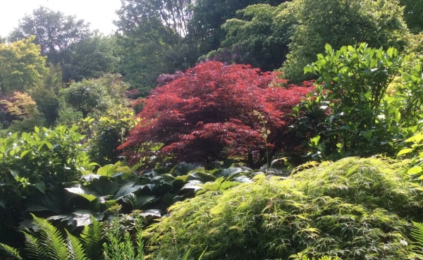 Jardin du Mesnil et Parc Botanique de Bray
